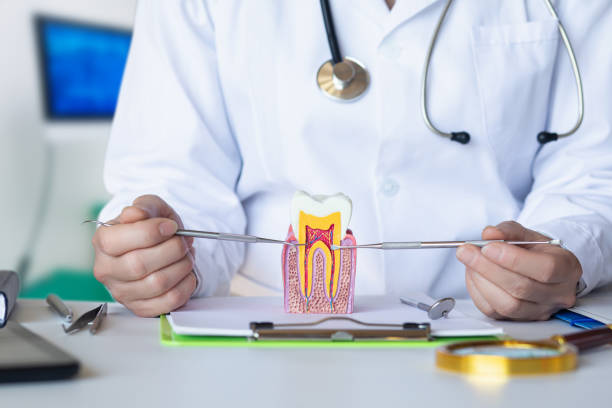 Best Emergency Root Canal Treatment in Driggs, ID